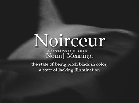 define noire|noir french meaning.